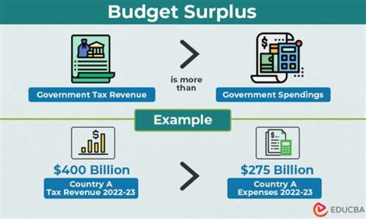 How does a government budget surplus affect the economy?