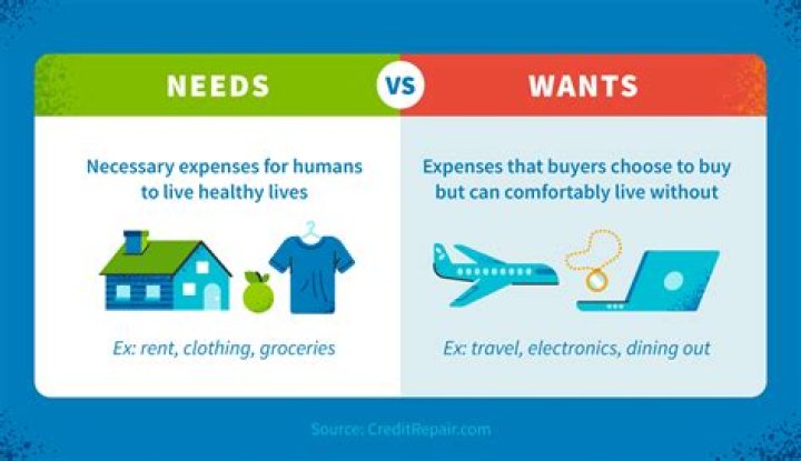 What are the differences between needs and wants?