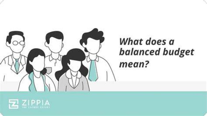 What does revenue budget mean?