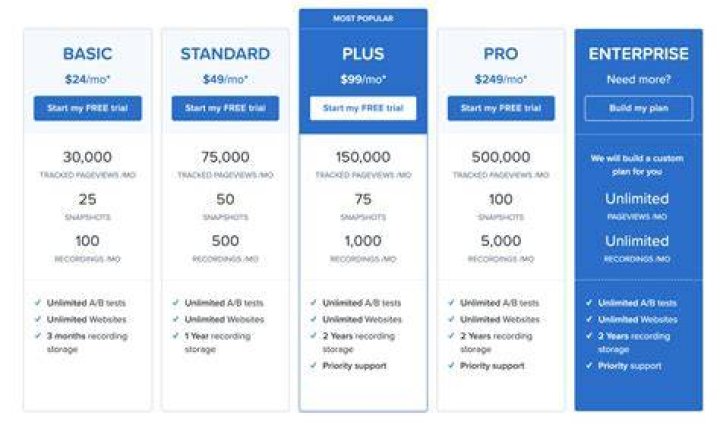 What is SaaS pricing?