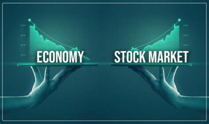 What is the importance of the stock market to the economy?