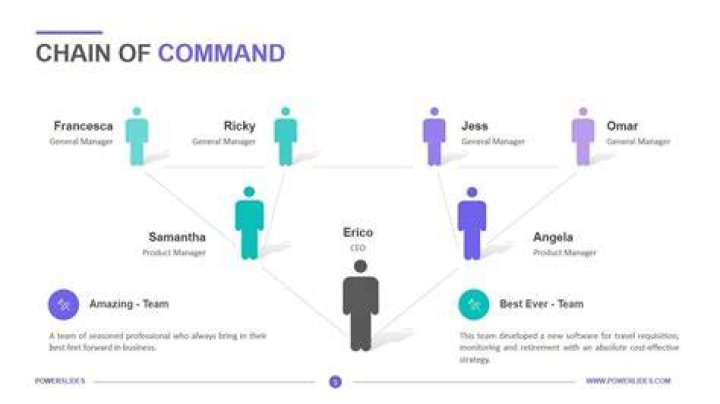 What is the proper chain of command in a business?