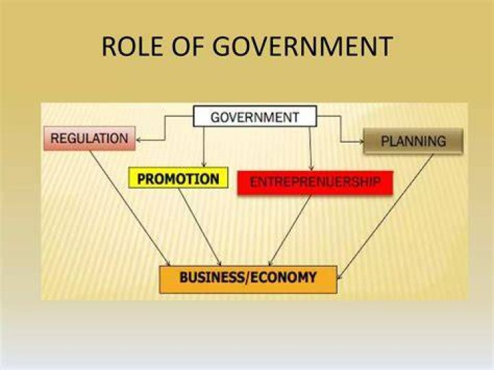 What is the role of government in business environment?